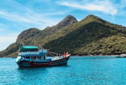 Vì Sao Sóng Biển Phục Hồi Nơ-ron Thần Kinh?