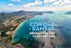 Khám Phá Côn Đảo: Điểm Đến Lý Tưởng Cho Những Tâm Hồn Yêu Thích Bình Yên