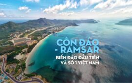 Khám Phá Côn Đảo: Điểm Đến Lý Tưởng Cho Những Tâm Hồn Yêu Thích Bình Yên